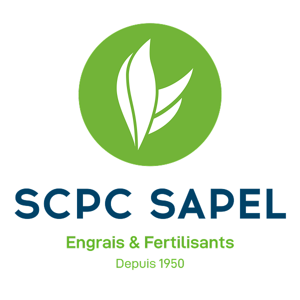 IFRIQUIA PLASTIC SCPC SAPEL
